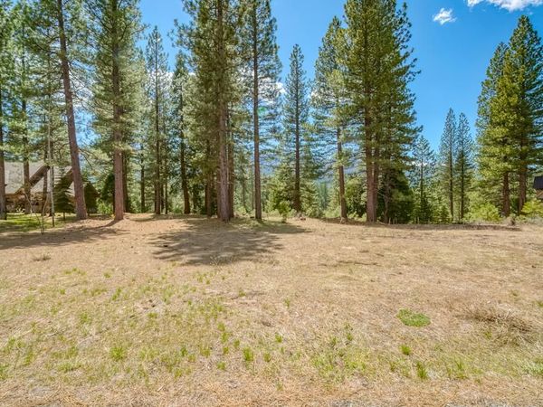 118 Saddle Ridge Road, Clio, CA 96106