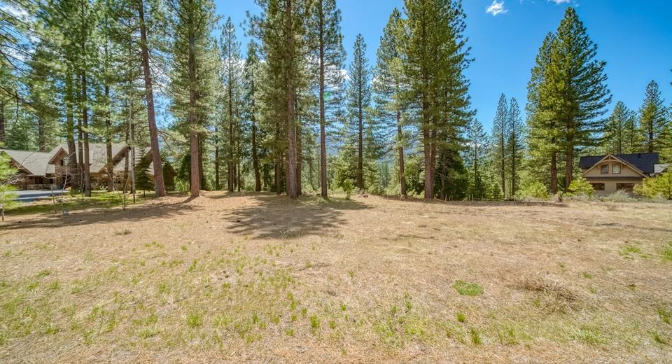 118 Saddle Ridge Road, Clio, CA 96106 Photo