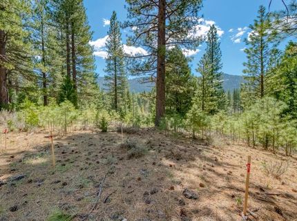 118 Saddle Ridge Road, Clio, CA 96106 Photo
