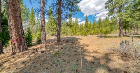 118 Saddle Ridge Road, Clio, CA 96106 Photo