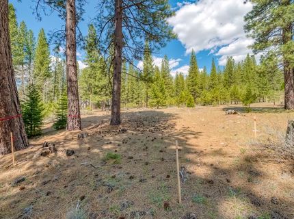 118 Saddle Ridge Road, Clio, CA 96106 Photo
