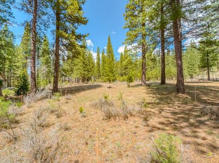 118 Saddle Ridge Road, Clio, CA 96106 Photo