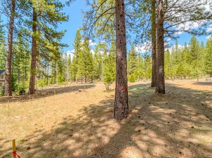 118 Saddle Ridge Road, Clio, CA 96106 Photo