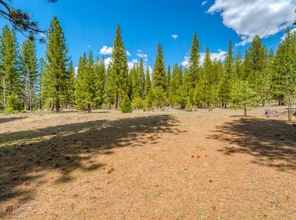 118 Saddle Ridge Road, Clio, CA 96106 Photo