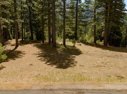 118 Saddle Ridge Road, Clio, CA 96106 Photo