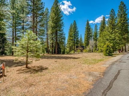 118 Saddle Ridge Road, Clio, CA 96106 Photo