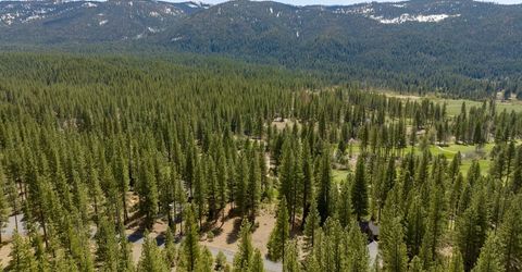 118 Saddle Ridge Road, Clio, CA 96106 Photo