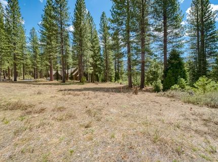 118 Saddle Ridge Road, Clio, CA 96106 Photo
