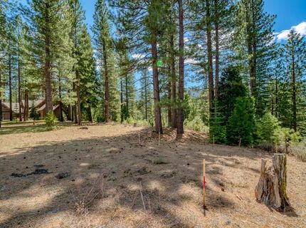 118 Saddle Ridge Road, Clio, CA 96106 Photo