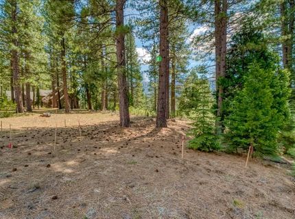 118 Saddle Ridge Road, Clio, CA 96106 Photo