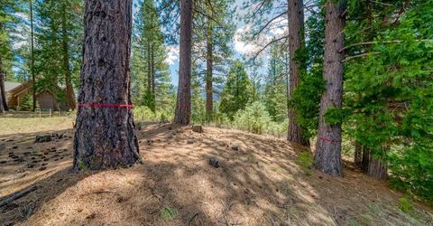 118 Saddle Ridge Road, Clio, CA 96106 Photo