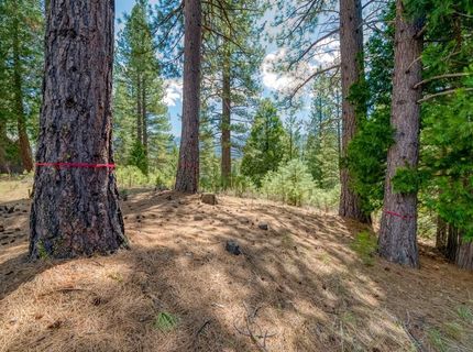 118 Saddle Ridge Road, Clio, CA 96106 Photo