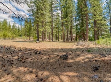 118 Saddle Ridge Road, Clio, CA 96106 Photo