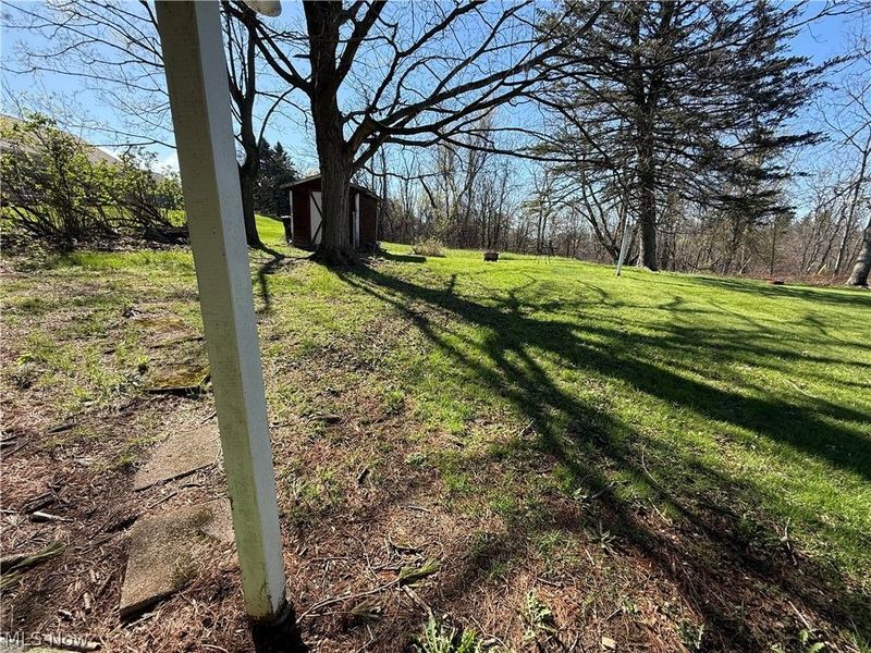 115 Grove Street, Wintersville, OH 43953 Photo 3