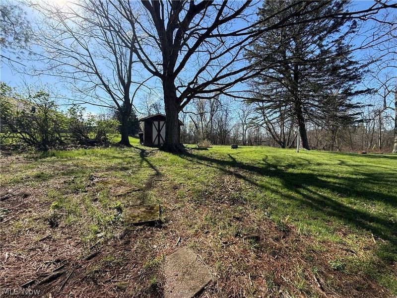 115 Grove Street, Wintersville, OH 43953 Photo 4