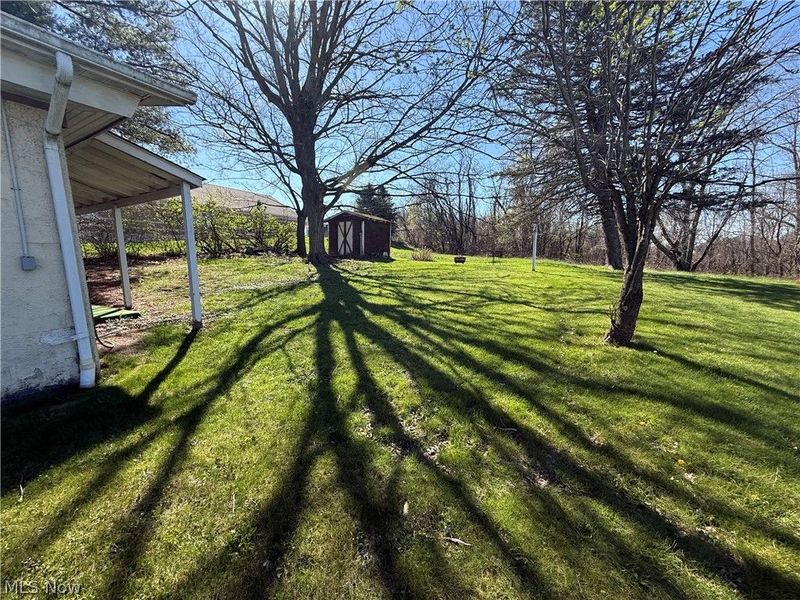 115 Grove Street, Wintersville, OH 43953 Photo 5