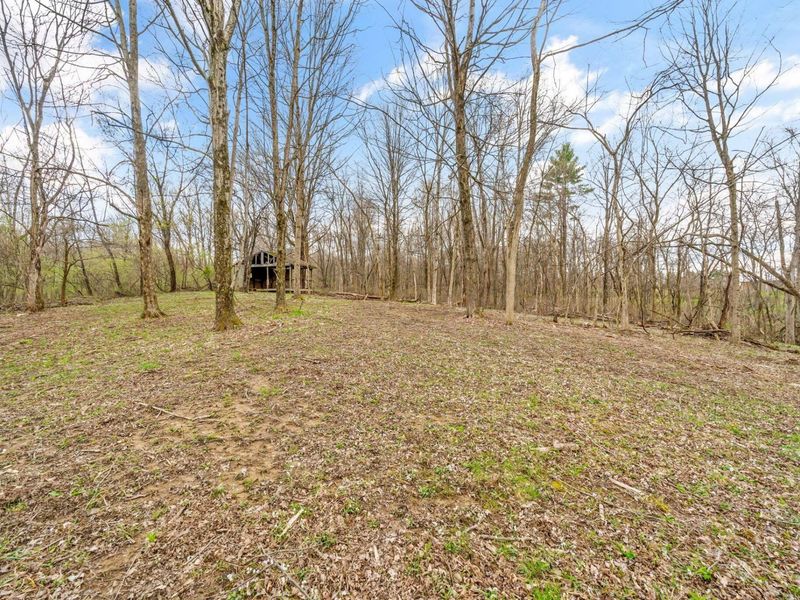 5211 Raccoon Run Road, Johnstown, OH 43031 Photo 49