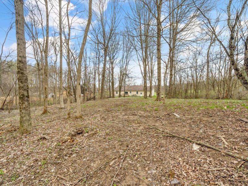 5211 Raccoon Run Road, Johnstown, OH 43031 Photo 50