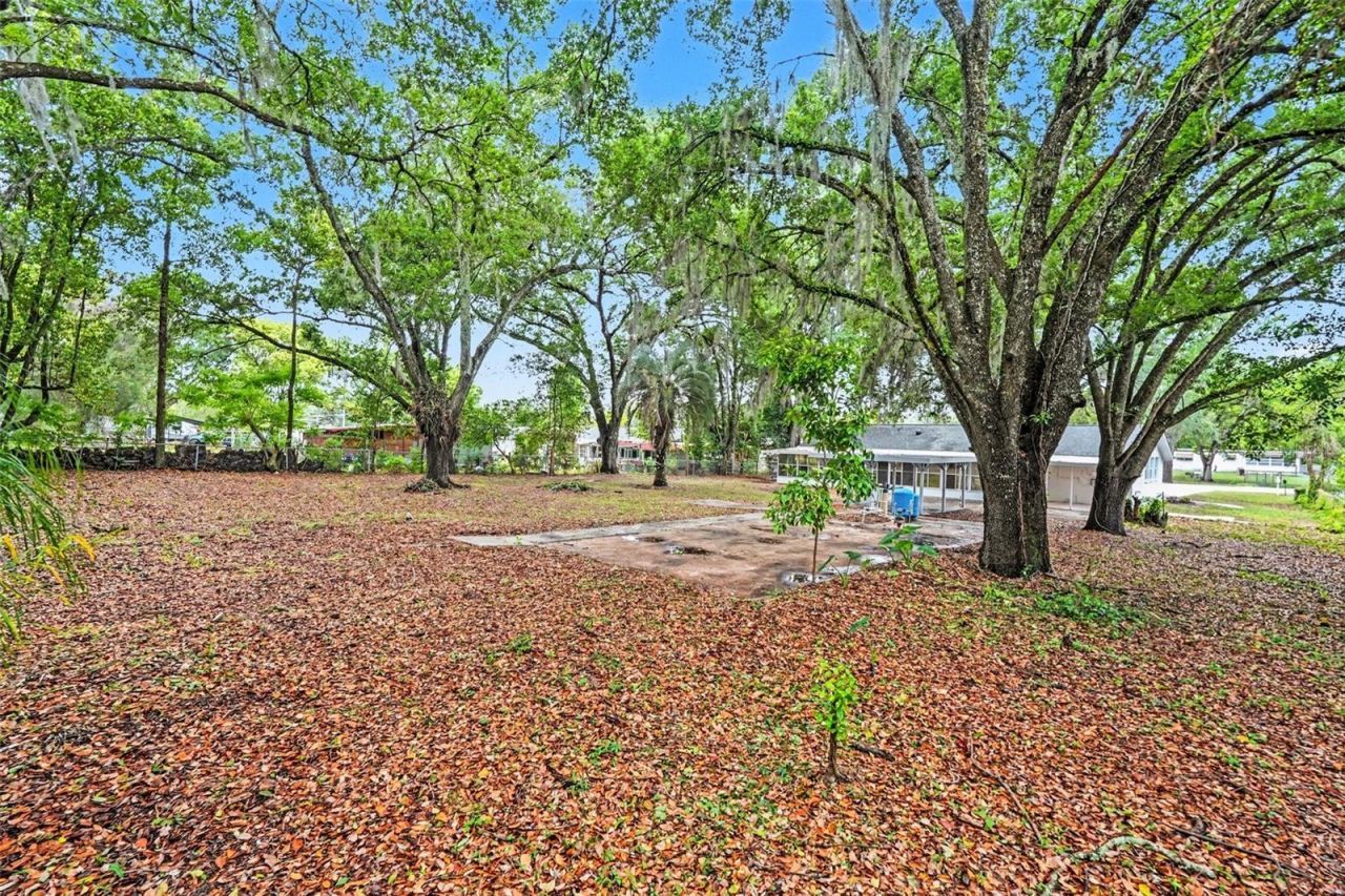 7310 Fort King Road , Zephyrhills, FL 33541 Photo