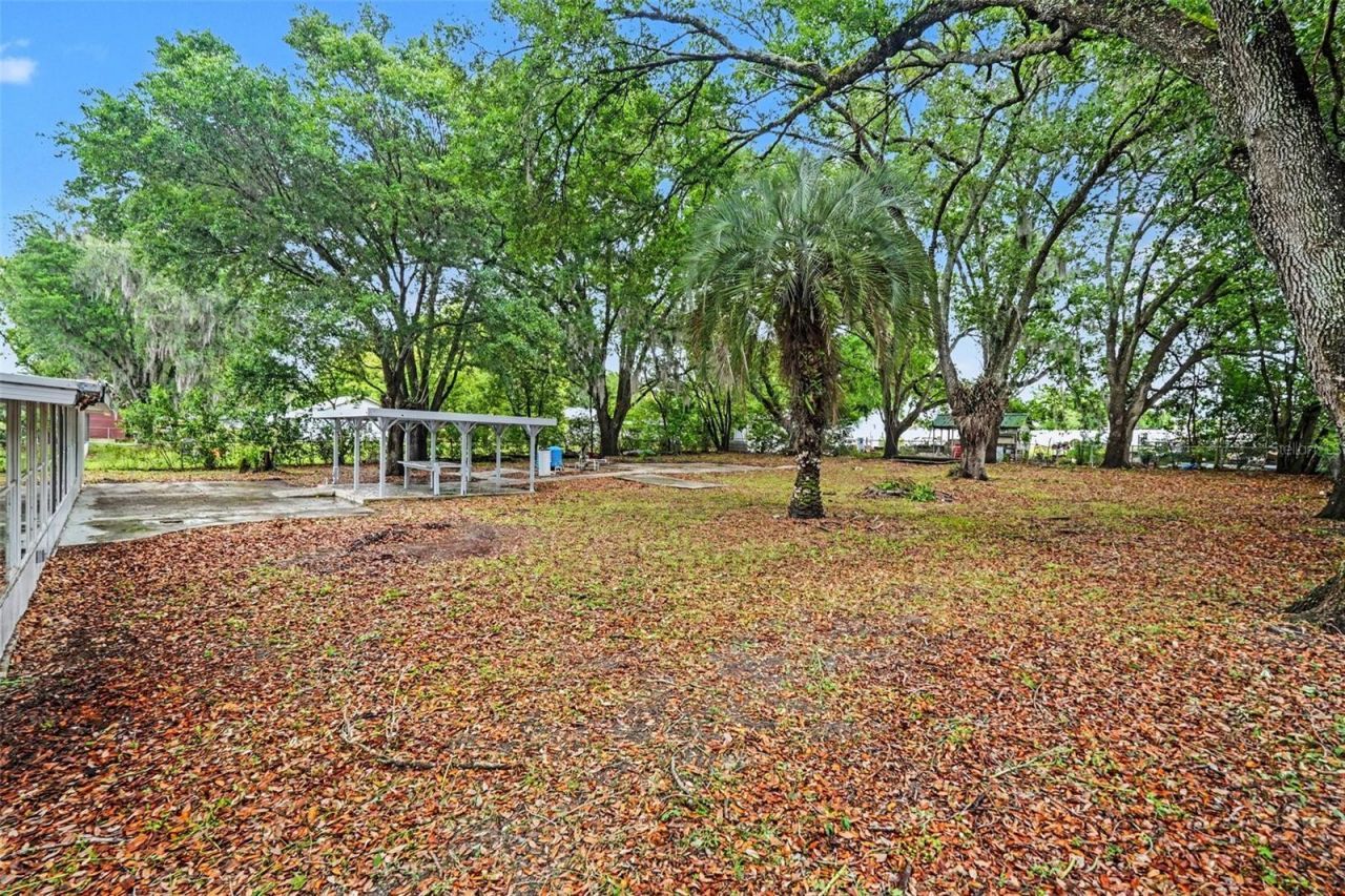 7310 Fort King Road , Zephyrhills, FL 33541 Photo