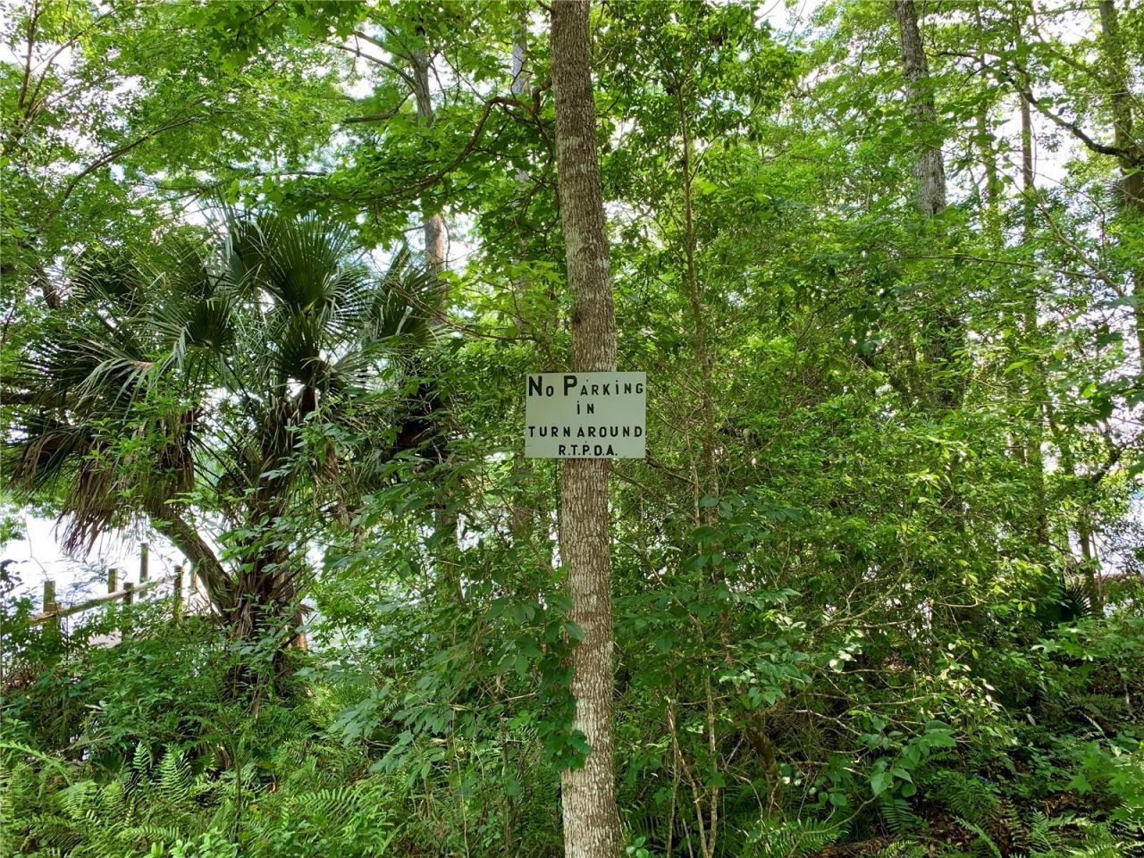 41722 Poinciana Stream , Eustis, FL 32736 Photo