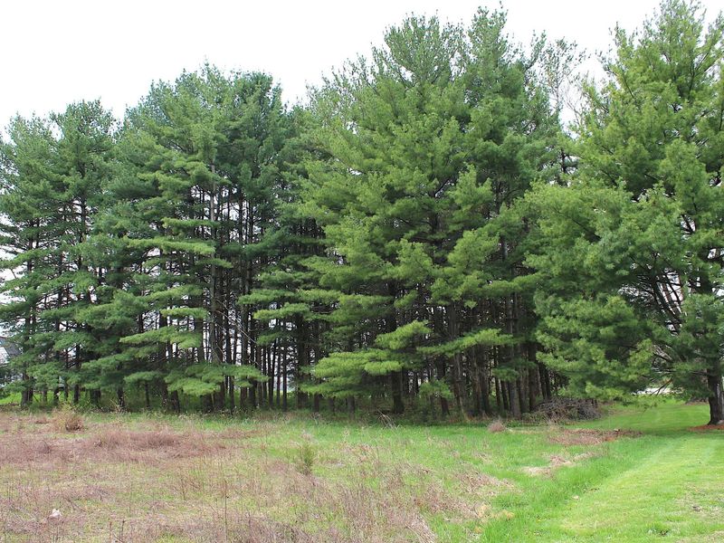 5719 North Road, Lewis Center, OH 43035 Photo 22