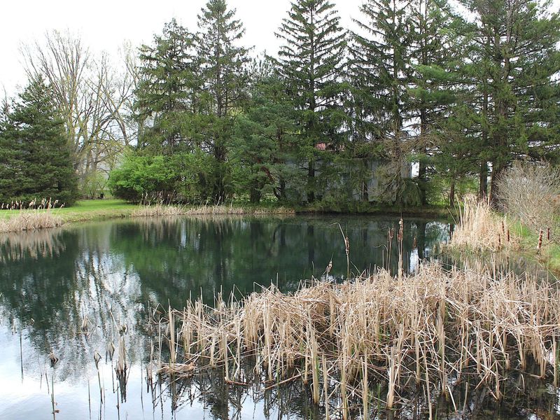 5719 North Road, Lewis Center, OH 43035 Photo 27