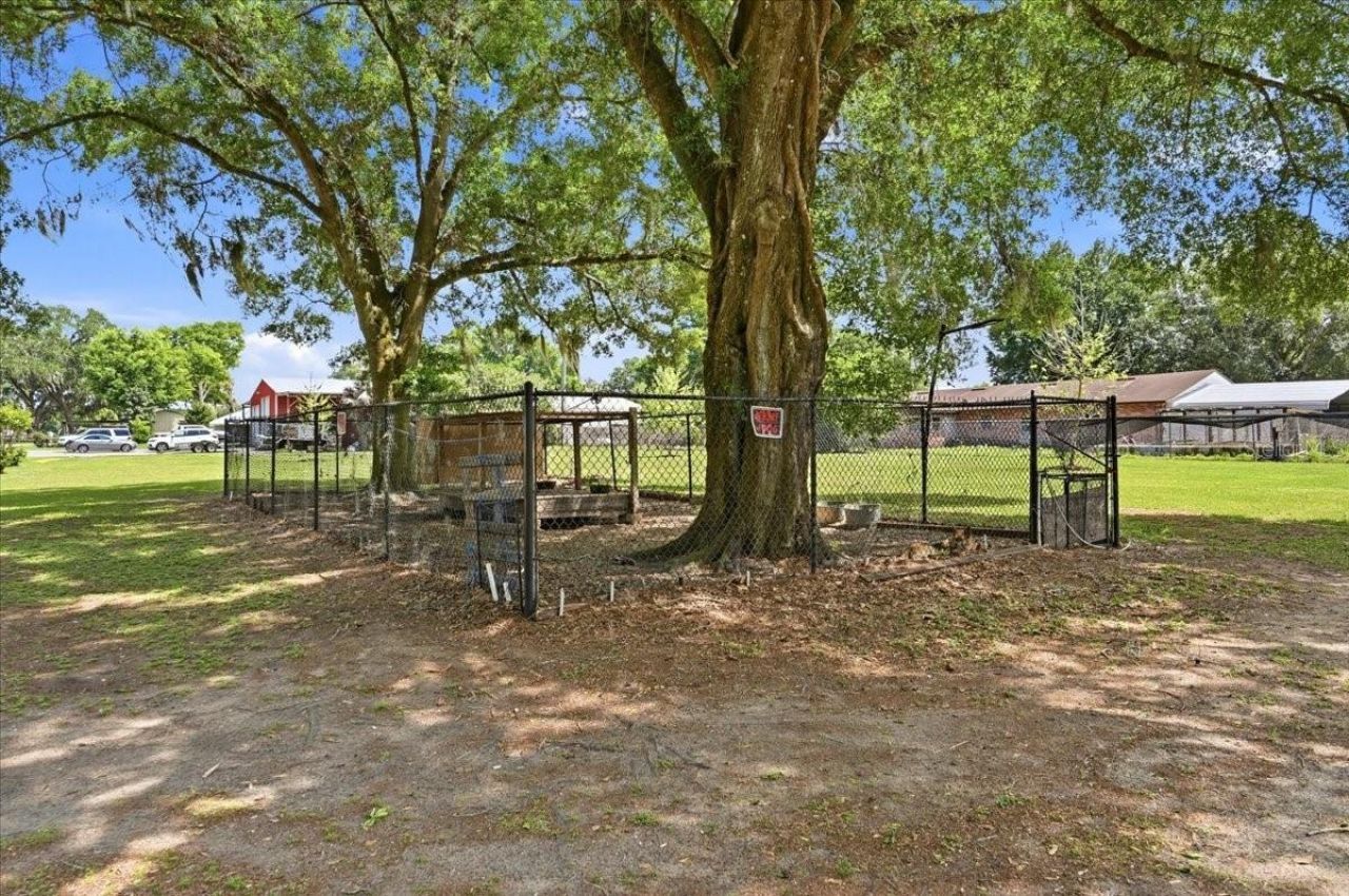 3943 W Campbell Road, Lakeland, FL 33810 Photo