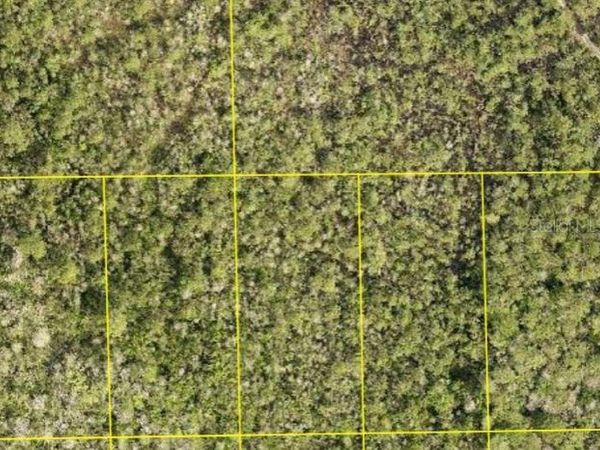 NO STREET , DELAND, FL 32724