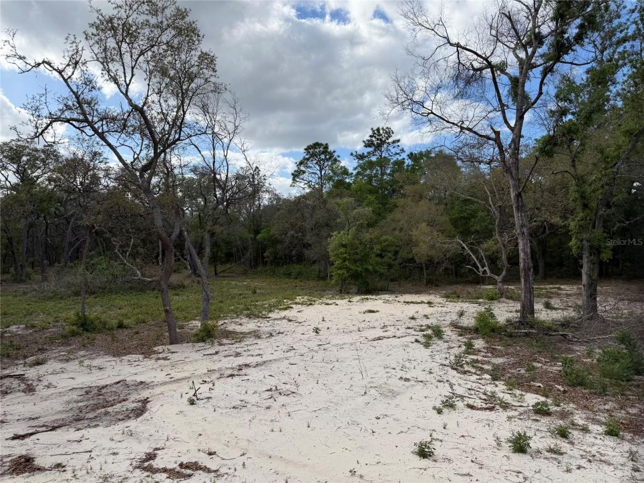 10671 NE 75th Street , Bronson, FL 32621 Photo