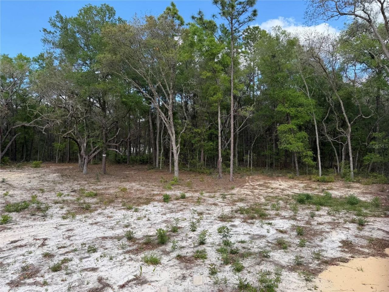 10671 NE 75th Street , Bronson, FL 32621 Photo