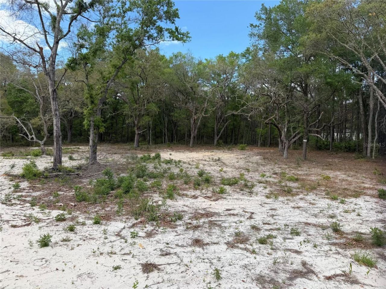 10671 NE 75th Street , Bronson, FL 32621 Photo