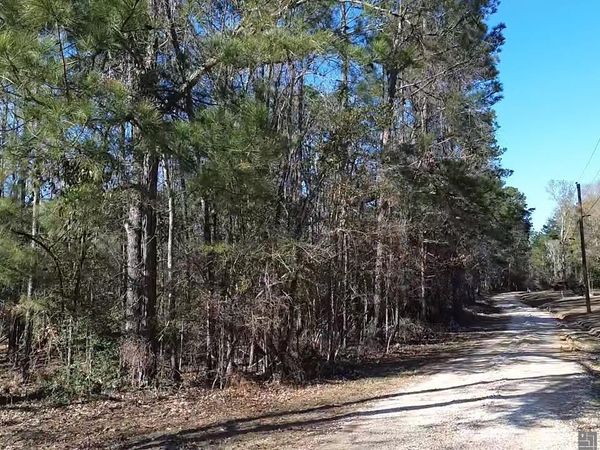 Tract A & B Mcclendon Ln, Amite, LA 70422