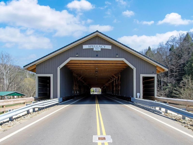 367 Alogonquion Autumn Road, Loudonville, OH 44842 Photo 31