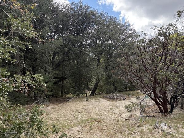 0 Schaeffer Drive , Pine Cove, CA 92549