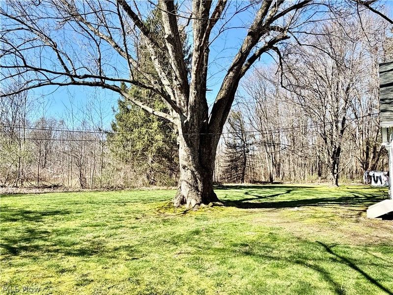 15131 Tavern Road, Burton, OH 44021 Photo 17