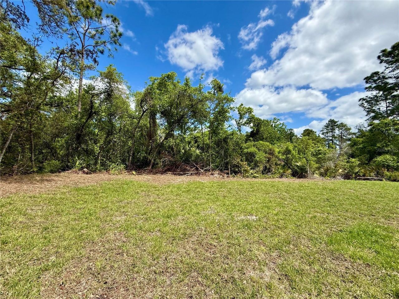 30165 W Bluebell Avenue, Eustis, FL 32736 Photo