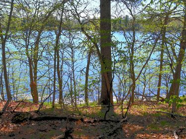 40039 County Rd 17, Browerville, MN 56438