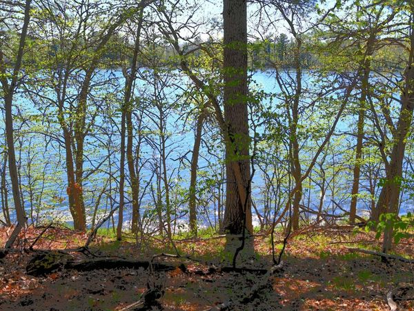 40039 County Rd 17 , Browerville, MN 56438