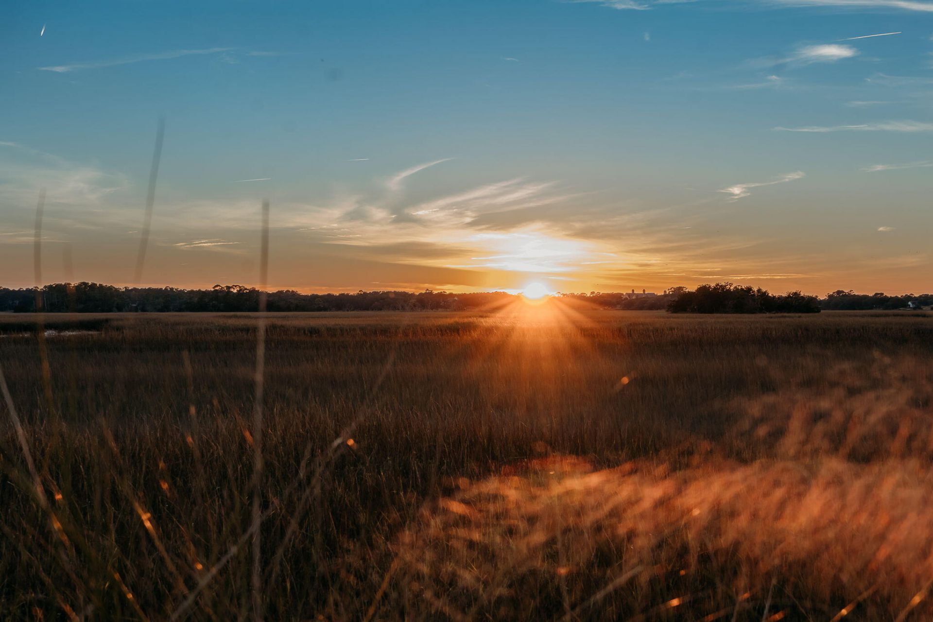 613 Sienna Way Photo 97