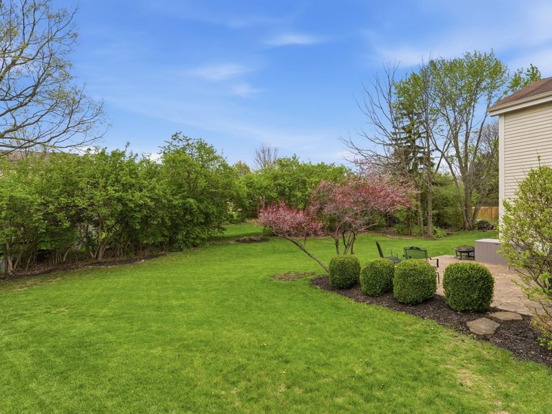 4556 Huckleberry Court, Hilliard, OH 43026 Photo 4