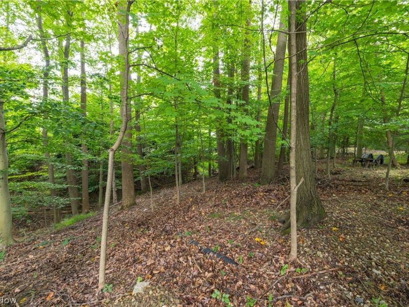 12101 The Bluffs, Strongsville, OH 44136 Photo 34