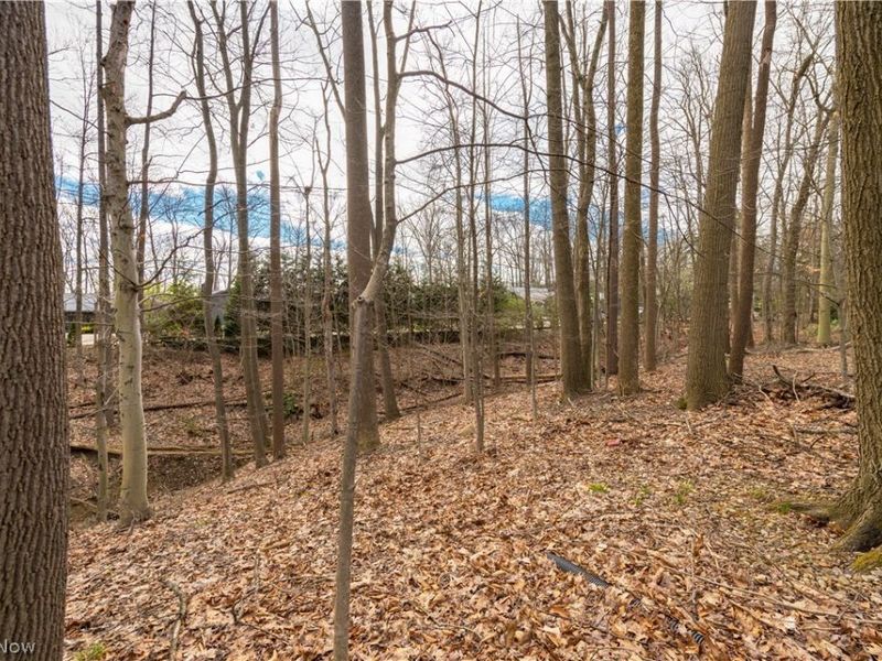 12101 The Bluffs, Strongsville, OH 44136 Photo 7