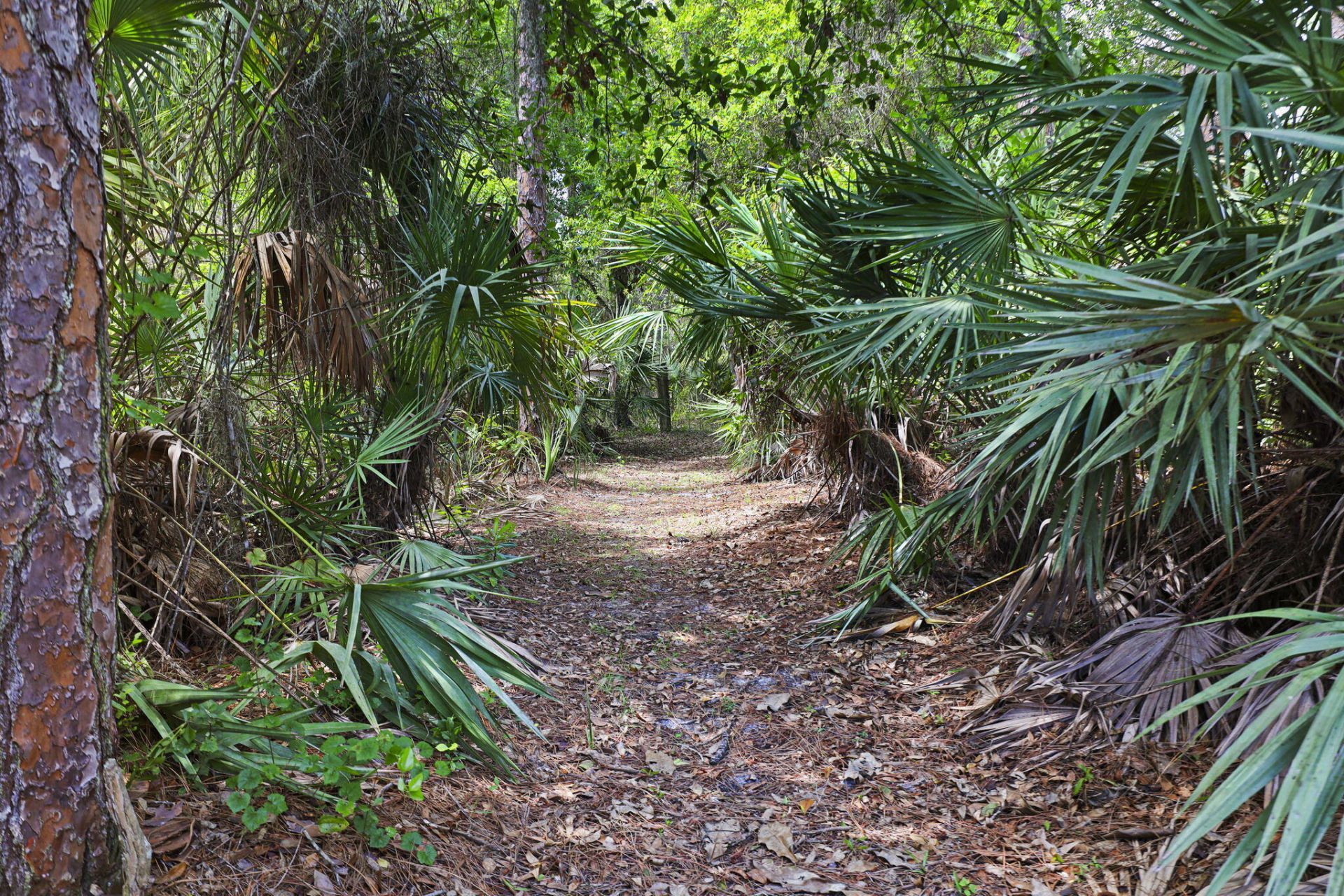 7370 SW Rattlesnake Run, Palm City, FL 34990 Photo