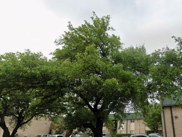2600 Penny LN, Unit 207, Austin, TX 78757