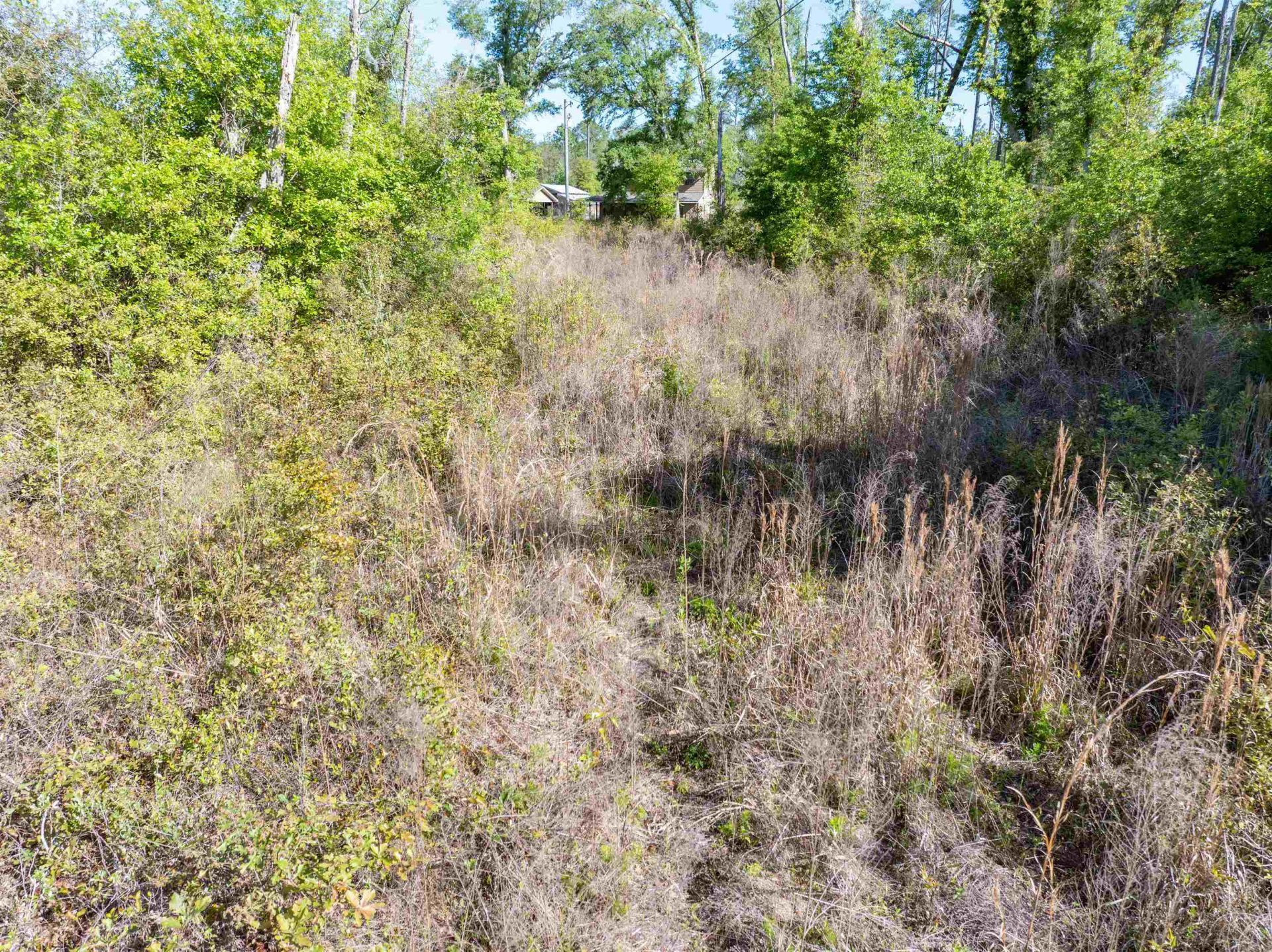 1020 W Lyman Hendry Road , Perry, FL 32347 Photo