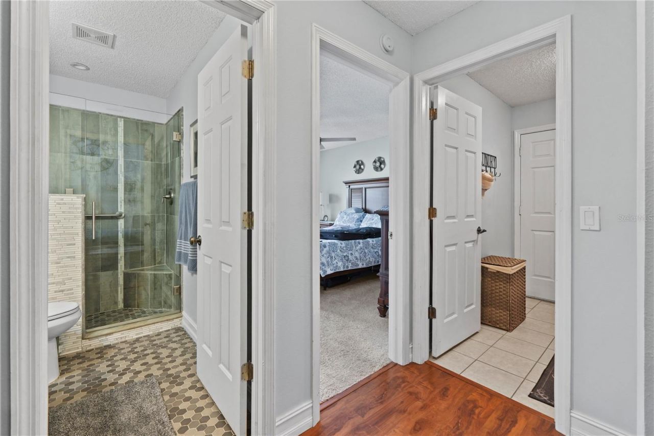 9521 Springmeadow Drive, New Port Richey, FL 34655 Photo