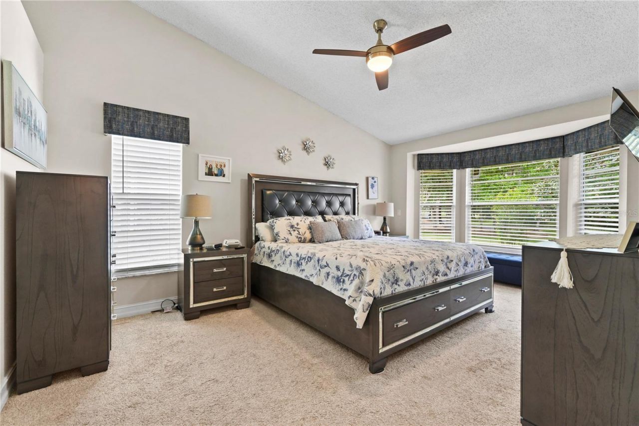 9521 Springmeadow Drive, New Port Richey, FL 34655 Photo