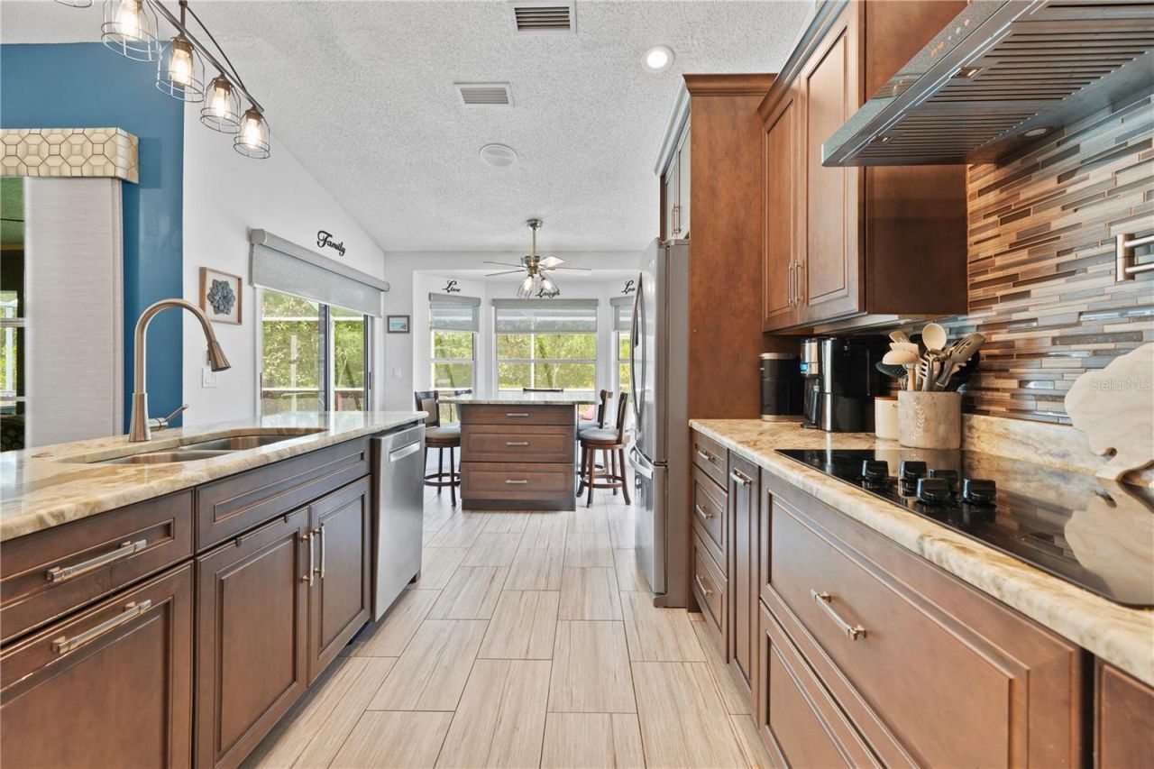 9521 Springmeadow Drive, New Port Richey, FL 34655 Photo