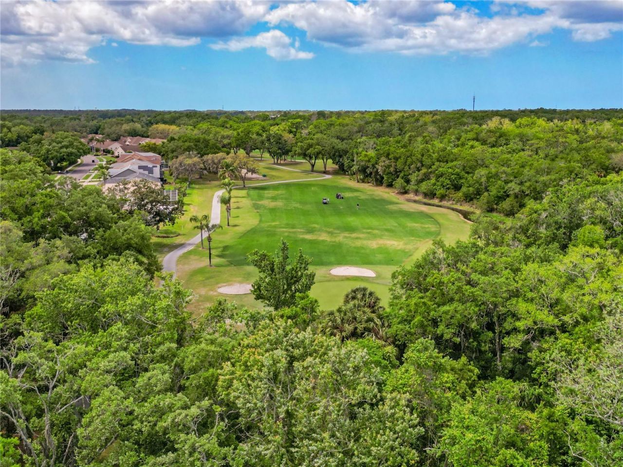 9521 Springmeadow Drive, New Port Richey, FL 34655 Photo